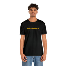 Load image into Gallery viewer, Pickettsburgh Steelers Unisex Jersey Short Sleeve T Shirt